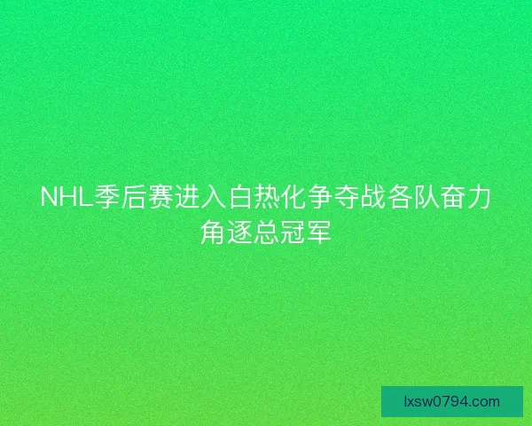 NHL季后赛进入白热化争夺战各队奋力角逐总冠军